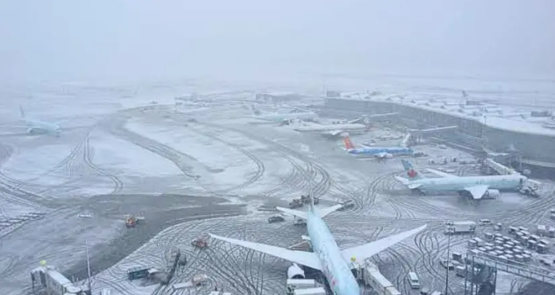 Thick Fog Disrupts Flight Operations at Srinagar Airport