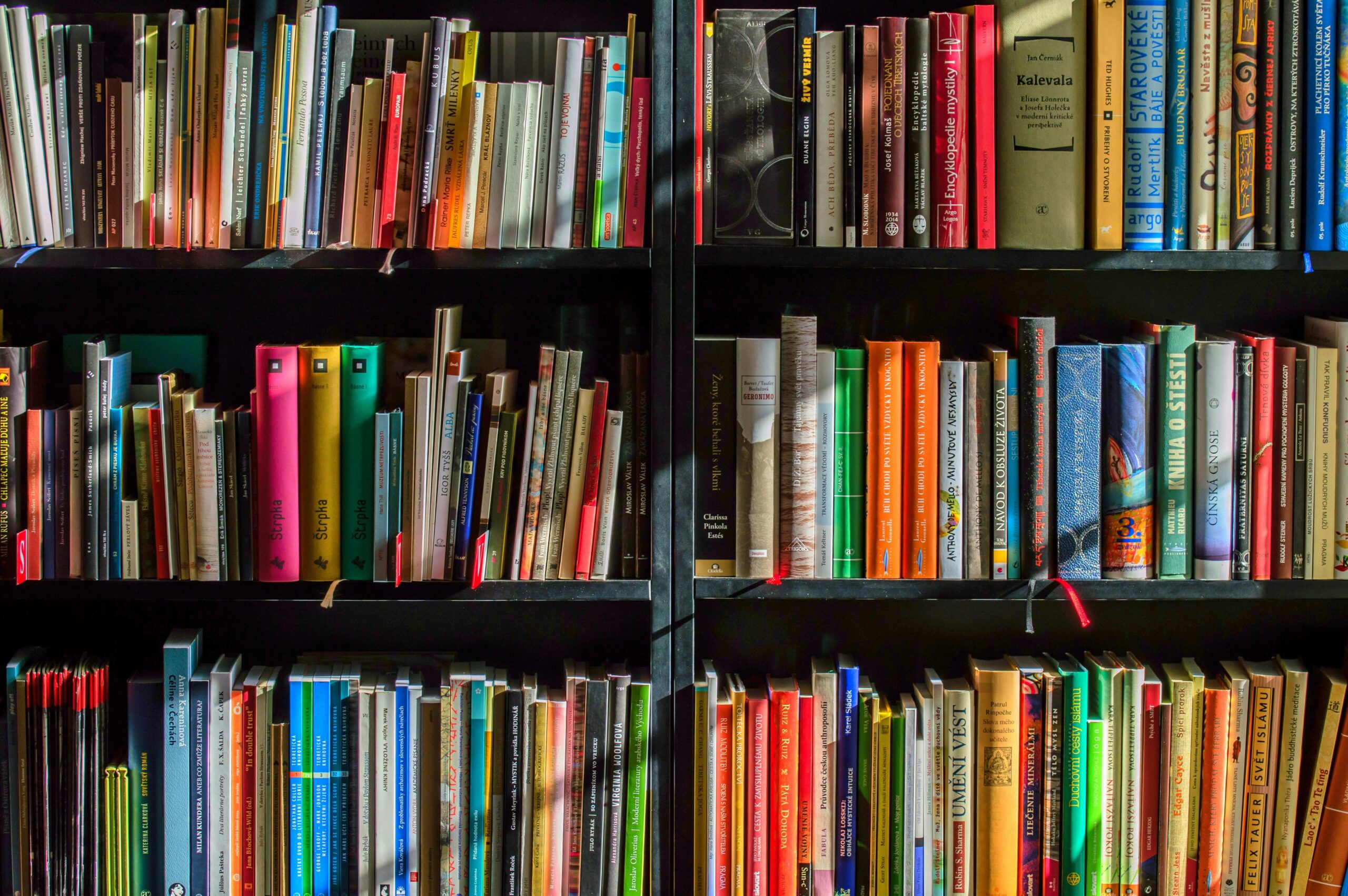 J&K govt bans 25 books for ‘propagating secessionism’, labels literature a threat to youth | list here