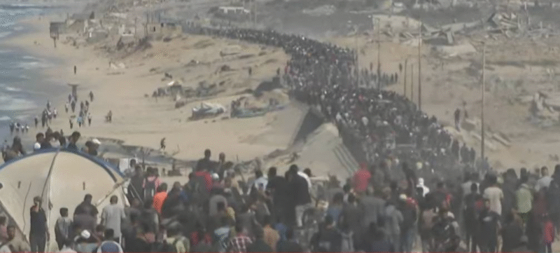 Living hostages, Palestinian prisoners released as part of ceasefire in Gaza
