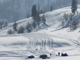 Tulip Garden Among 14 Tourist Sites to reopen in J-K