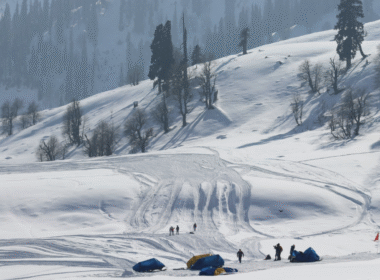 Tulip Garden Among 14 Tourist Sites to reopen in J-K