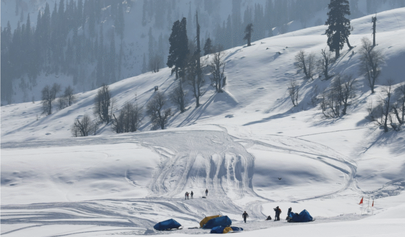 Tulip Garden Among 14 Tourist Sites to reopen in J-K