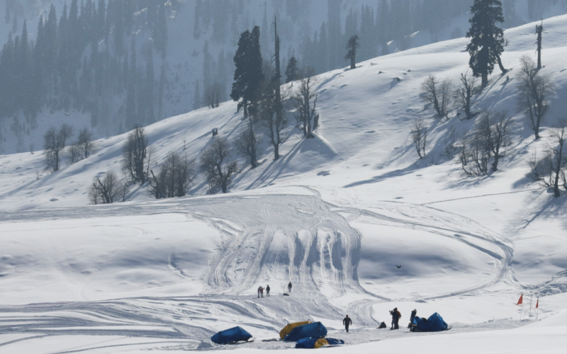 Tulip Garden Among 14 Tourist Sites to reopen in J-K