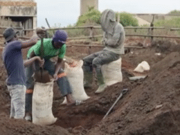 Gold Rush in South Africa: Illegal Mining Erupts in Springs After Nugget Discovery