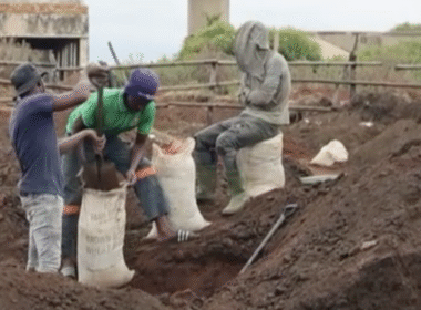 Gold Rush in South Africa: Illegal Mining Erupts in Springs After Nugget Discovery
