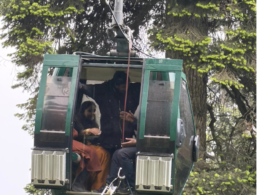 300 tourists rescued in seven-hour operation after Gulmarg Gondola malfunctions
