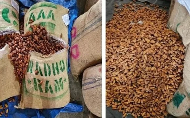 DRI seizes over 362 MT of Pakistan-origin dry dates in Nashik
